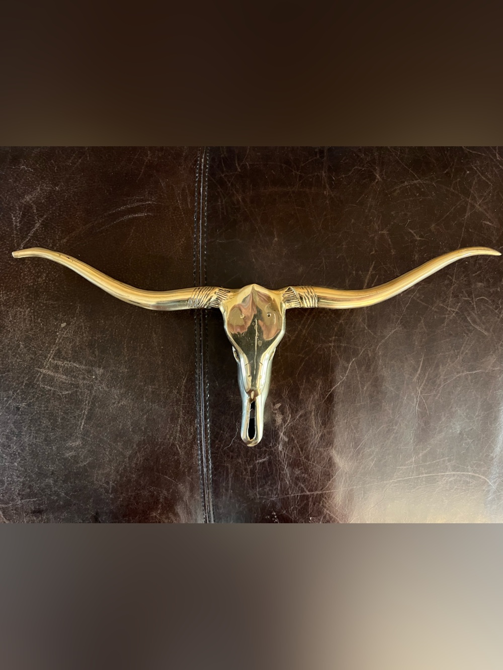 Brass Longhorn Wall Decor